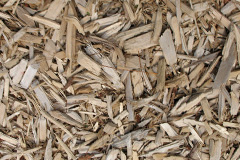 biomass boilers Staxigoe